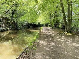 ein Aussicht von das Shropshire Union Kanal in der Nähe von ellesmere foto