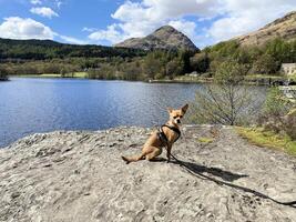 ein Aussicht von See lomond im Schottland auf ein sonnig Tag foto