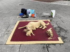 ein Aussicht von ein Sand Skulptur im Liverpool foto