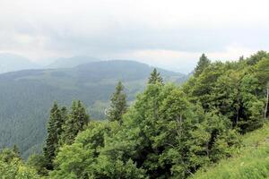ein Aussicht von das österreichisch Landschaft beim st Gilgen foto