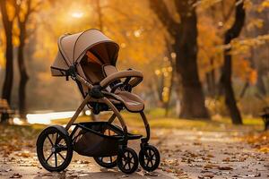 modern Kinderwagen im ein Park während Sonnenuntergang foto