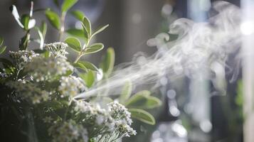 Sprühen ein Nebel von Eukalyptus und Lavendel wesentlich Öle zu verbessern Entspannung und Atemwege Vorteile. foto