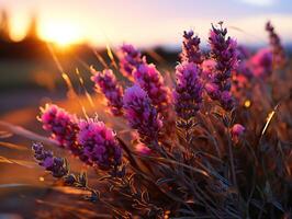 ai generiert Lavendel Blumen auf verschwommen Sonnenuntergang Hintergrund, generativ ai foto