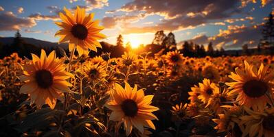 ai generiert Sonnenblumen beim Sonnenuntergang generativ ai foto