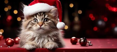 ai generiert Neu Jahre Katze mit Santa claus Hut generativ ai foto