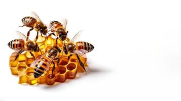 ai generiert Bienen auf Waben auf Weiß Hintergrund generativ ai foto