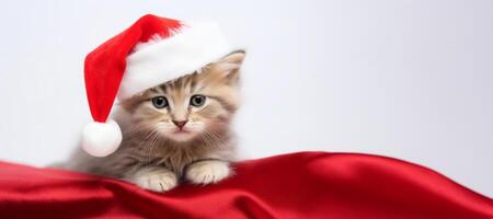 ai generiert Kätzchen mit Santa claus Hut auf Weiß Hintergrund generativ ai foto