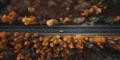 ai generiert Straße im Herbst, oben Aussicht generativ ai foto