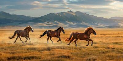 Pferde galoppierend über das Steppe Tierwelt foto