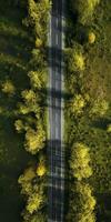 Frühling Blüten entlang das Straße Aussicht von über foto