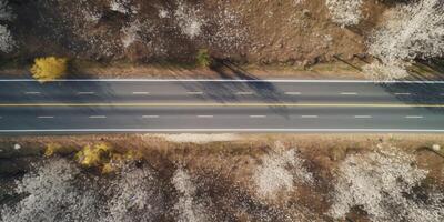 Frühling Blüten entlang das Straße Aussicht von über foto