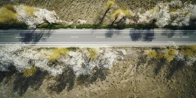 Frühling Blüten entlang das Straße Aussicht von über foto