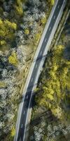 Frühling Blüten entlang das Straße Aussicht von über foto