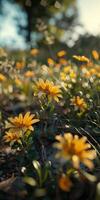 Frühling blühen Baum und Blumen foto