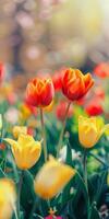 Frühling bunt Blumen im das Wiese foto