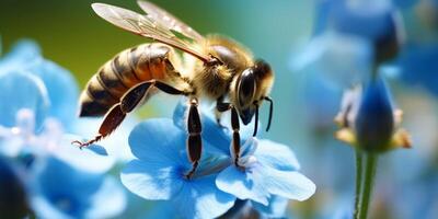 Biene auf ein Blume Makro Nahansicht foto