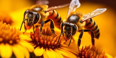 Biene auf ein Blume Makro Nahansicht foto