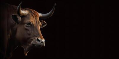 Stier Kopf im Profil auf ein schwarz Hintergrund Banner foto