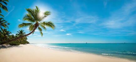 Panorama- tropisch Strand mit Palme Bäume Banner foto
