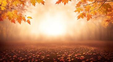 Ahorn Blätter auf ein verschwommen Herbst Hintergrund Banner foto