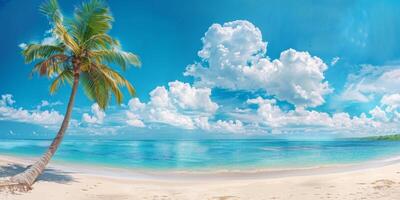 Palme Baum und Weiß Sand gegen das Hintergrund von das azurblau Ozean foto