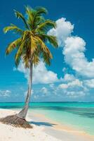 Palme Baum und Weiß Sand gegen das Hintergrund von das azurblau Ozean foto