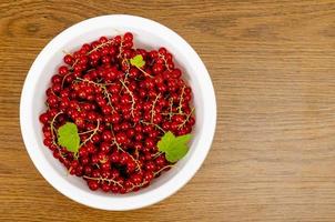 Reife rote Johannisbeeren in weißer Schüssel. Foto