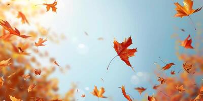 Herbst Blatt fallen Gelb Blätter Herbst foto