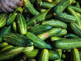 Fotografie von schließen oben Textur Hintergrund von Gurke Gemüse foto