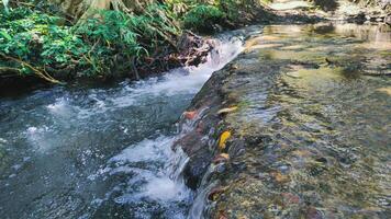 Fotografie von Fluss Wasser fließend zwischen das Felsen foto