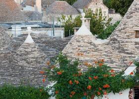 Trulli, das typisch alt Häuser im Alberobello. foto