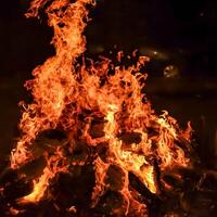 feuerflammen auf schwarzem hintergrund, lodernder feuerflammentexturhintergrund, schön, das feuer brennt, feuerflammen mit holz und kuhdunglagerfeuer foto