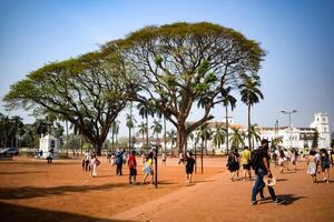 goa, Indien, Dezember 10, 2023 - - unbekannt Touristen genießen beim arabisch Meer während das Morgen Zeit im Calangute Strand goa, Indien, Ozean Strand Aussicht früh Morgen Zeit foto