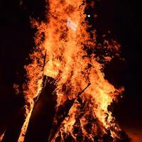 feuerflammen auf schwarzem hintergrund, lodernder feuerflammentexturhintergrund, schön, das feuer brennt, feuerflammen mit holz und kuhdunglagerfeuer foto