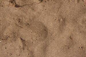 mediterran Sand Textur 4 foto