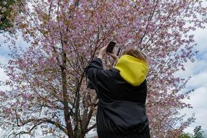 ein Frau im ein Gelb Kapuze Verwendet ihr Smartphone zu nehmen Fotos von das schön Rosa Sakura Blüten auf ein wolkig Frühling Tag