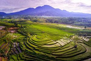 Aussicht von Indonesien im das Morgen, Grün Reis Felder, Sonne steigend hell Über das Berg foto