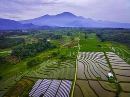 schön Morgen Aussicht von Indonesien von Berge und tropisch Wald foto