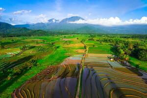 schön Morgen Aussicht von Indonesien von Berge und tropisch Wald foto