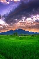 schön Morgen Aussicht von Indonesien von Berge und tropisch Wald foto