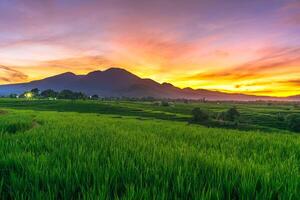 schön Morgen Aussicht von Indonesien von Berge und tropisch Wald foto