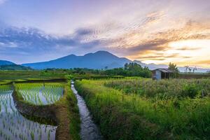 schön Morgen Aussicht von Indonesien von Berge und tropisch Wald foto