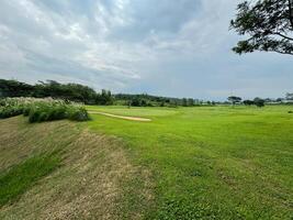 Park mit Grün Gras und Bäume gegen ein sehr klar Himmel foto