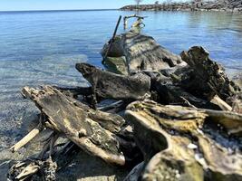 Baum Fragmente von Wasser. Meer Landschaft mit Felsen. Blau Meer Wasser. Felsen unter Wasser foto