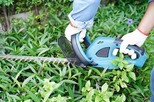 Gärtner trimmt Busch mit elektrischen Heckenscheren im Garten. Hobby zu Hause. foto