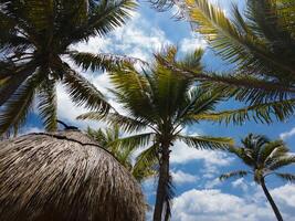 el Mirador 2 Öffentlichkeit Strand im cancun foto