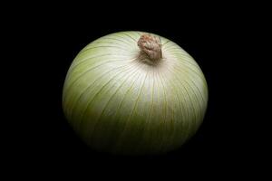 schließen oben von ein ungeschält Zwiebel foto