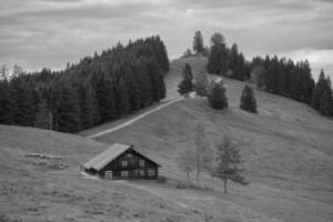 im deutschen Münsterland foto