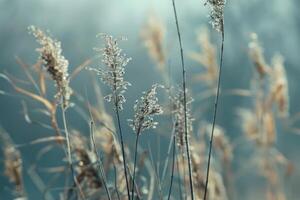 das Natur von stumm geschaltet Farben Ton foto