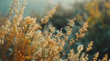 das Natur von stumm geschaltet Farben Ton foto